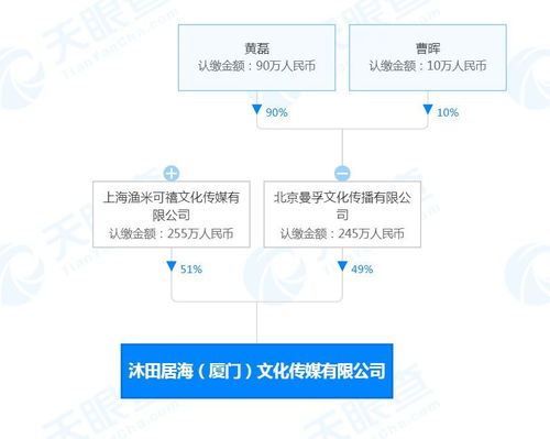廣播電視節(jié)目制作經(jīng)營 創(chuàng)意與管理的藝術(shù)